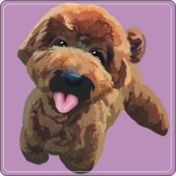 寵物Q版畫 紅貴賓Q版畫 PNP-003